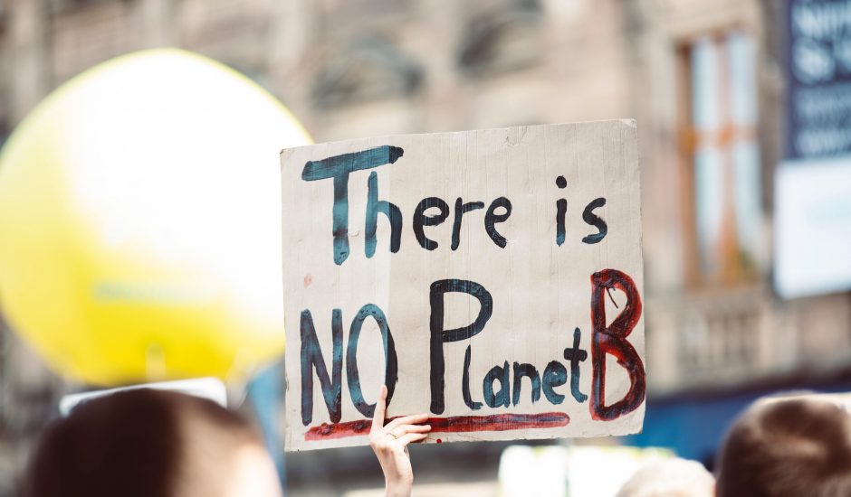 une personne tenant une pancarte "there is no planet b"