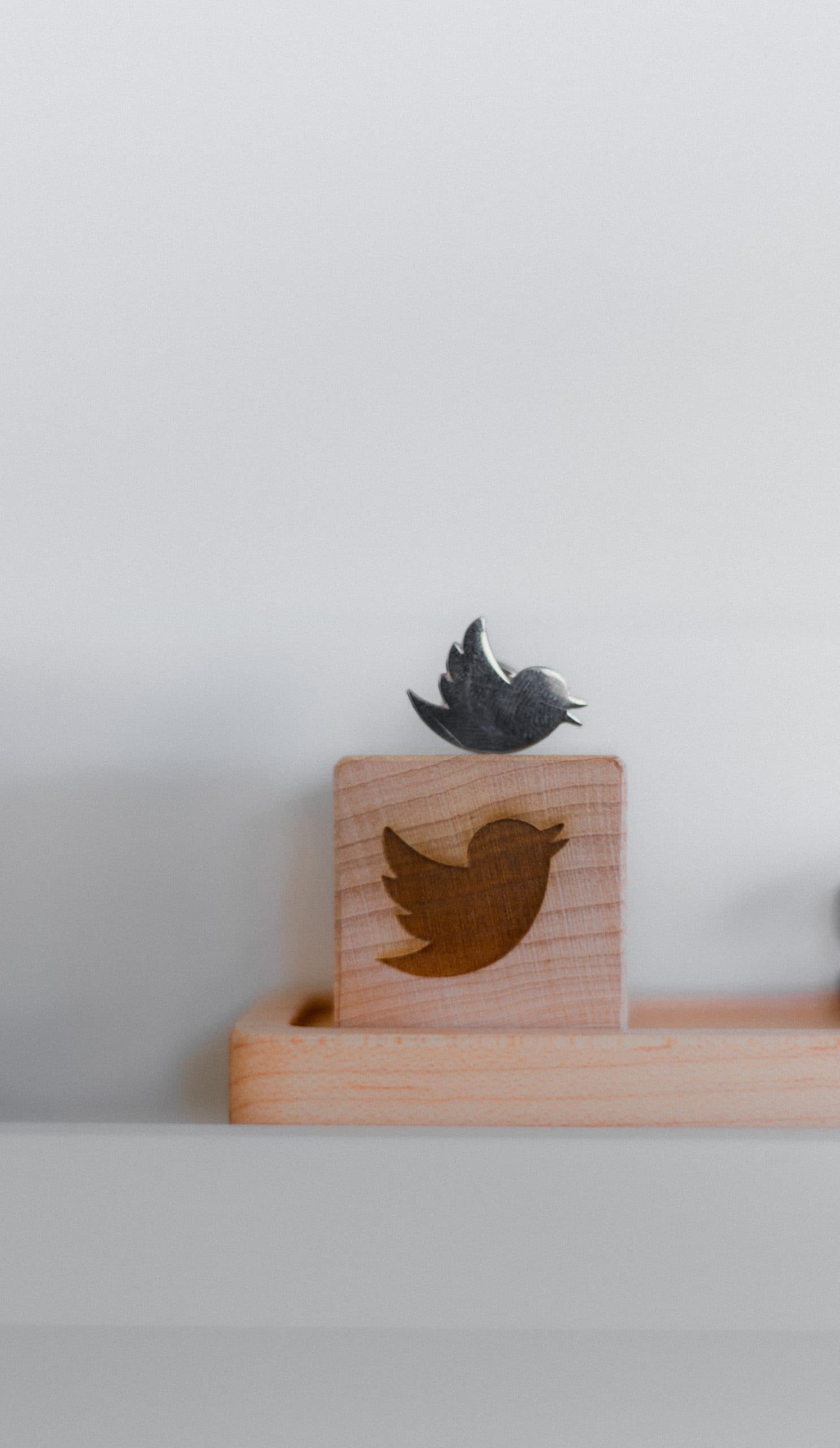Le logo de Twitter en bois.