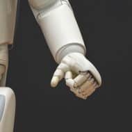 La main fermée d'un robot de couleur blanche.