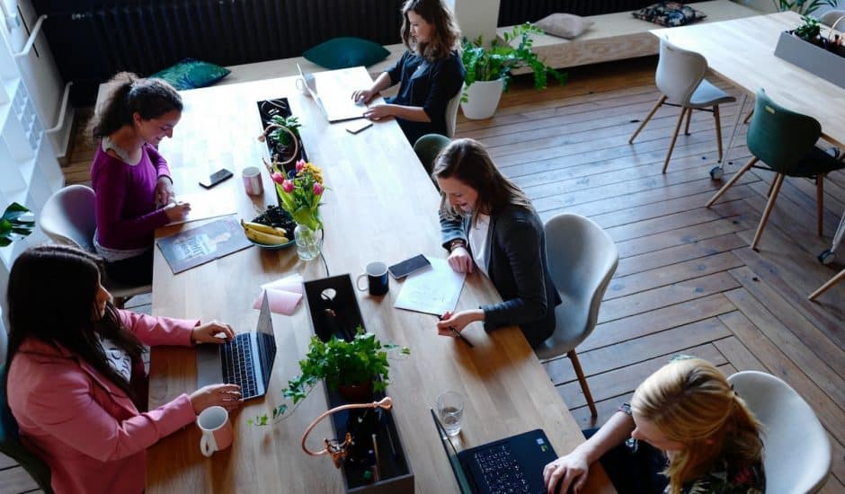 une équipe de femmes en réunion sur des ordinateurs, plantes sur les tables