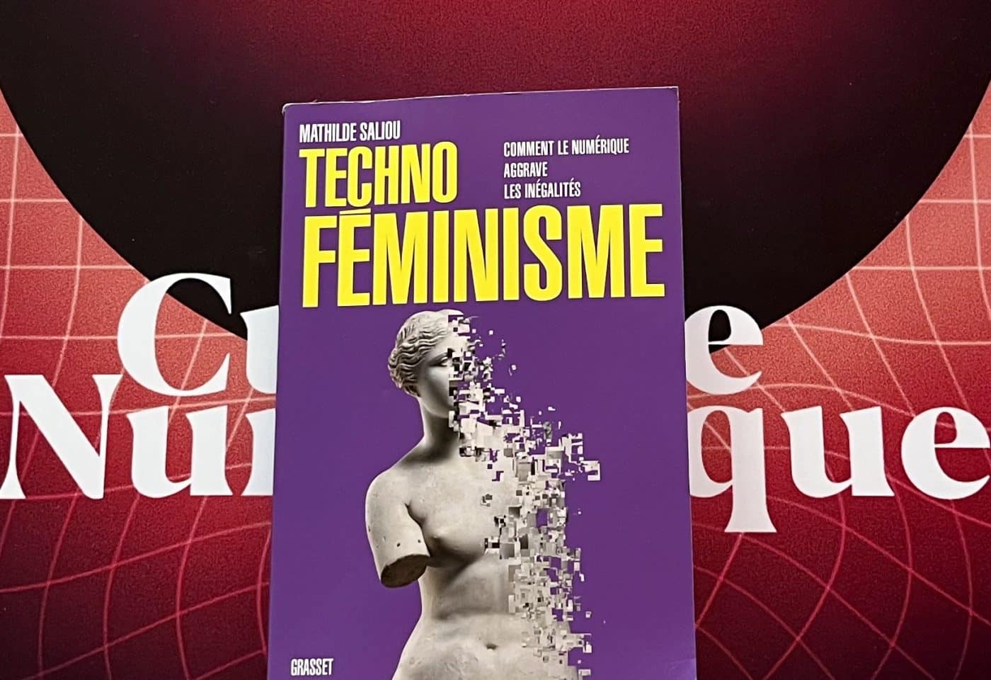 « Technoféminisme, comment le numérique aggrave les inégalités », le livre de la journaliste Mathilde Saliou