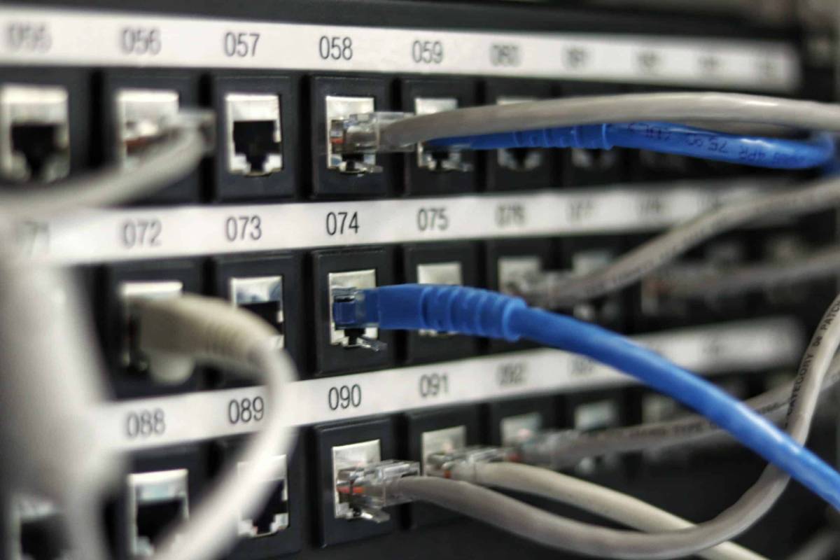 Plusieurs cables Ethernet assurant l'accès à une connexion internet.