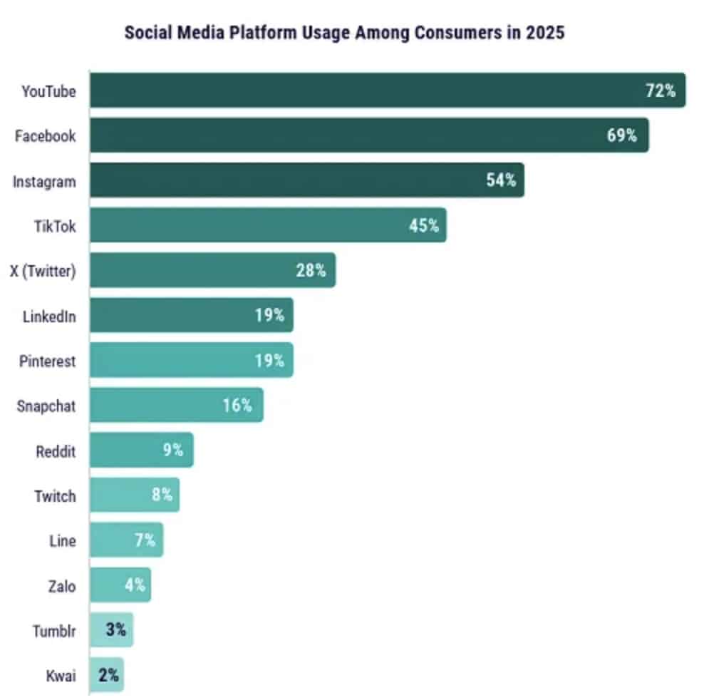 Zoom sur les plateformes les plus utilisées - Source&nbsp: DoubleVerify