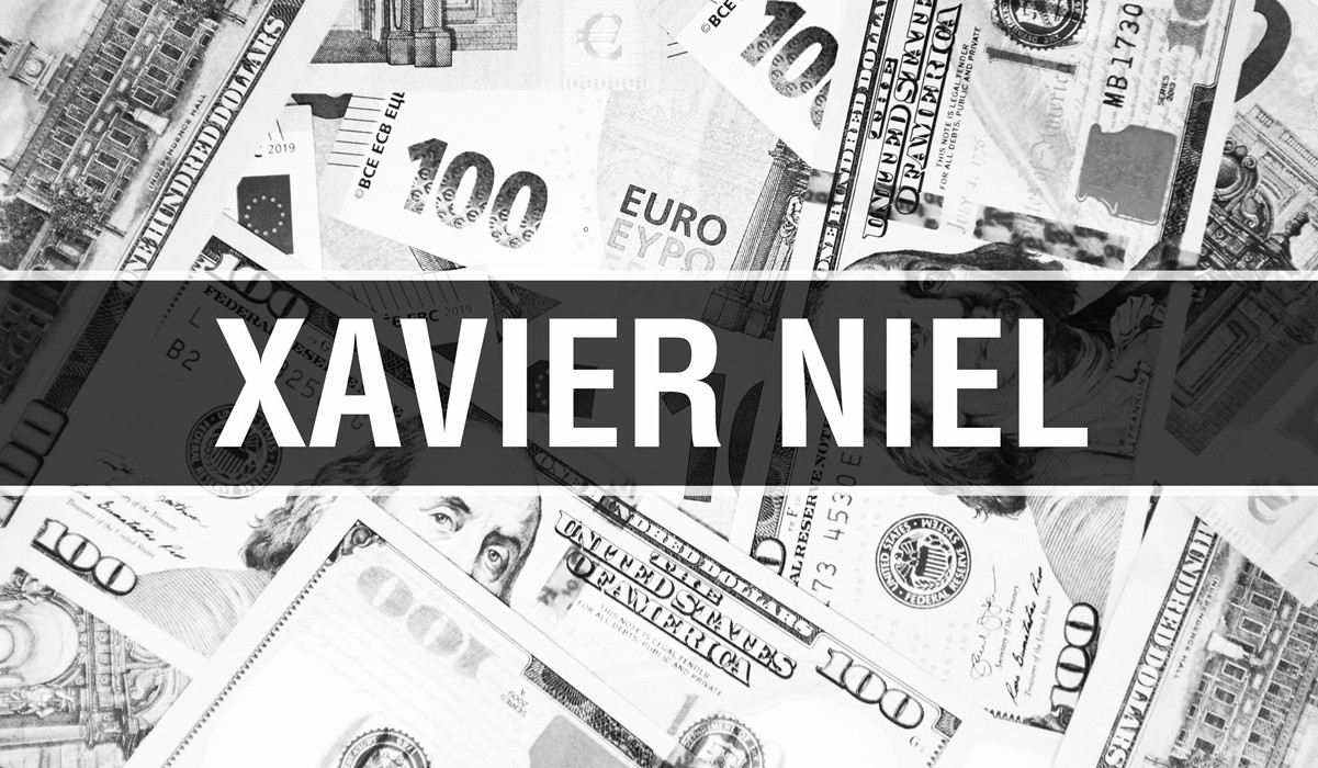 TikTok aux États-Unis : Xavier Niel entre au capital de la nouvelle entité